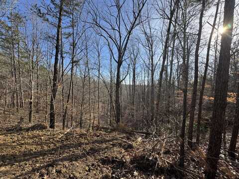 0 Old Mail Road Lot 13, Duck River, TN 38454