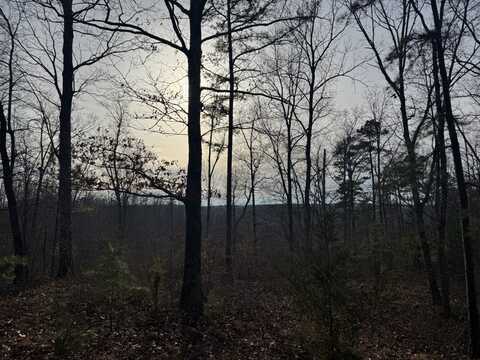 0 Old Mail Road Lot 15, Duck River, TN 38454