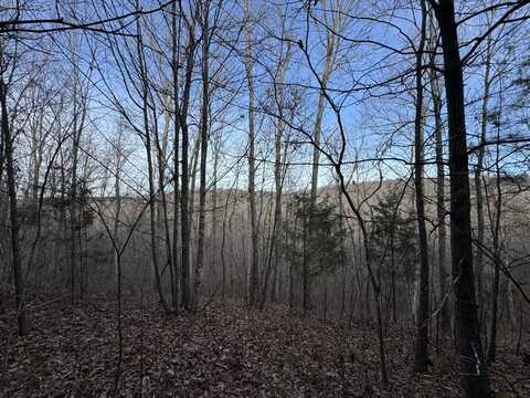 0 Old Mail Road Lot 18, Duck River, TN 38454