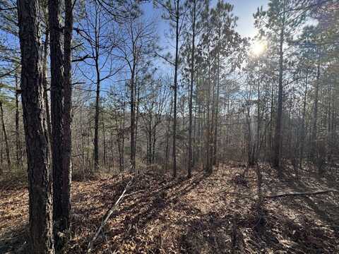 0 Old Mail Road Lot 10, Duck River, TN 38454