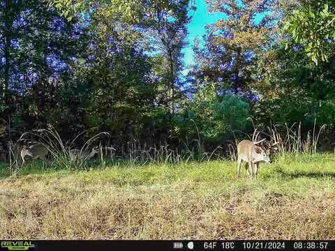 0 Hills and Hollows, Vicksburg, MS 39180