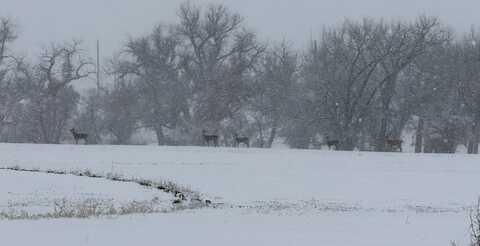 TBD County Road 170, Agate, CO 80101