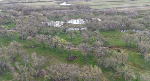 TBD County Road 170, Agate, CO 80101