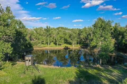 TBD County Road 170, Agate, CO 80101