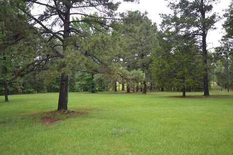 00 Hwy 82 East, Village, AR 71753