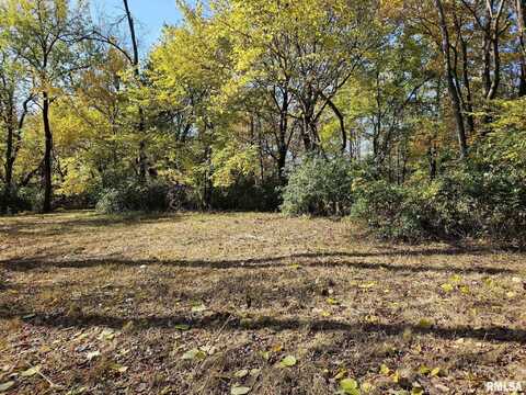 2.7 Acres ZACHARY Avenue, Montpelier, IA 52759