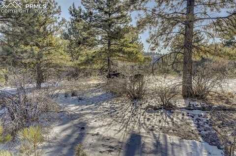 226 Arapahoe Drive, Florissant, CO 80816