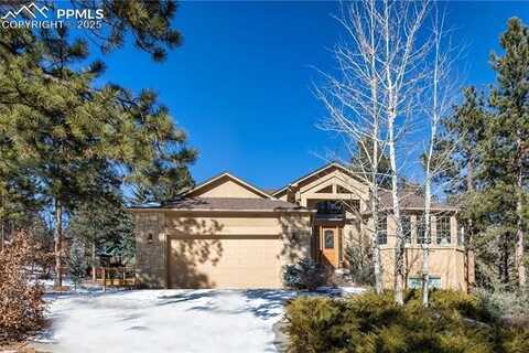 9070 Picabo Road, Cascade, CO 80809