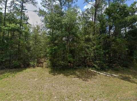 9648 N Centennial Point, Dunnellon, FL 34434