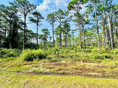 247 Twin Lakes Rd, Eastpoint, FL 32328