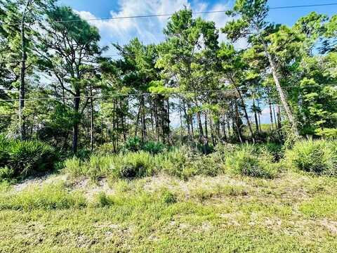 271 Twin Lakes Rd, Eastpoint, FL 32328