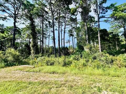 253 Twin Lakes Rd, Eastpoint, FL 32328