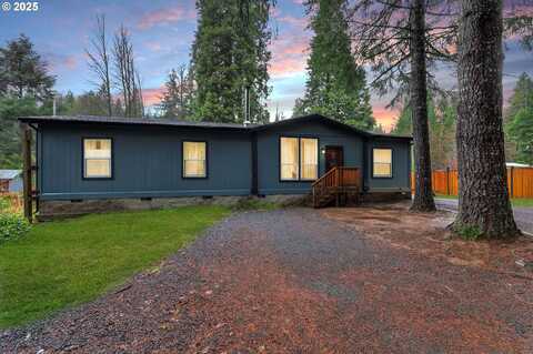 56496 N BANK RD, McKenzie Bridge, OR 97413