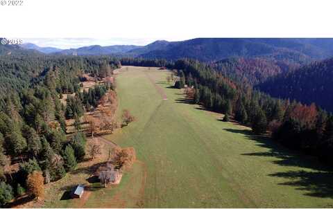 1111 ILLAHEE RD, Idleyld Park, OR 97447