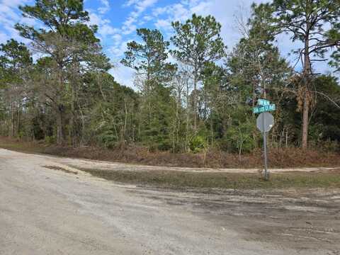 0 SW 80th Street, Dunnellon, FL 34432