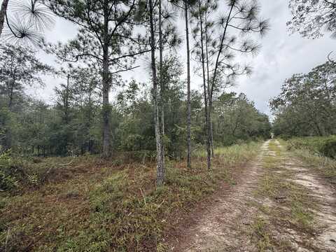 0 NE 83rd Lane, Bronson, FL 32621