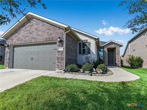 3204 De Luca Court, Round Rock, TX 78665