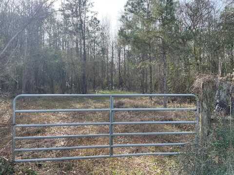 000 Mt Herman Rd, Osyka, MS 39657