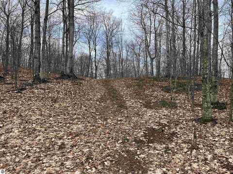 Lot 15 S Mistys Trail, Empire, MI 49630