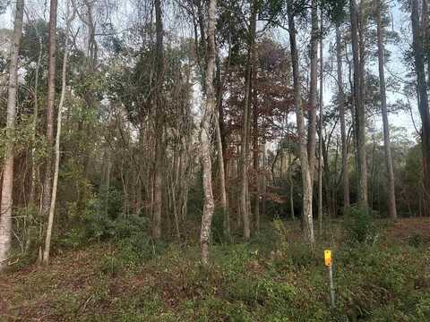 Okeeheepkee Road, Tallahassee, FL 32303