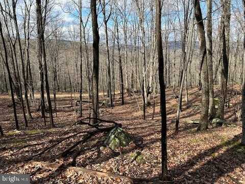 21.57 AC LOST RIVER GLEN, RIO, WV 26755