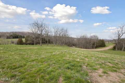 Tbd Highway 75, Blountville, TN 37617