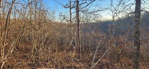 Lot 39 Charles Dr, HOLLADAY, TN 38341