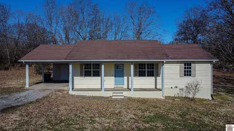 384 Dale Dr, Wingo, KY 42088