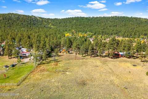 58 County Road 1120, Greer, AZ 85927