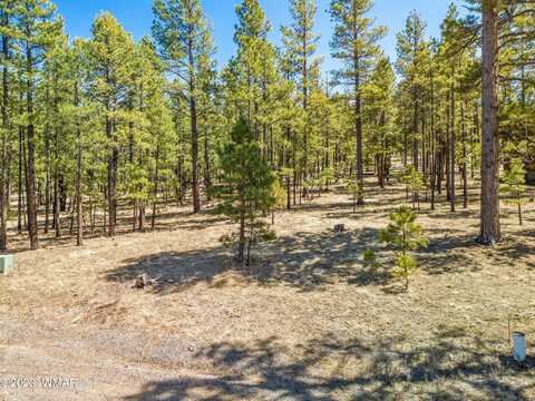 18 Co Rd 1320, Greer, AZ 85927