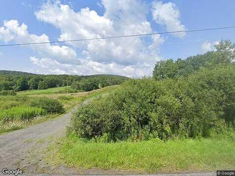 Dunk Hill Rd, Franklin, NY 13775