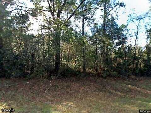 County Rd #292, Mayo, FL 32066