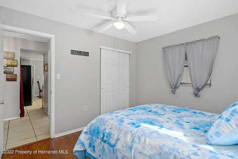Derby, PORT RICHEY, FL 34668