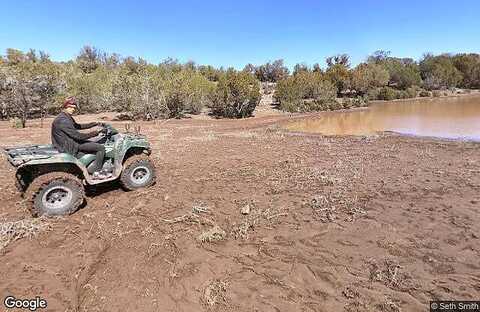 Camino Oso, SELIGMAN, AZ 86337