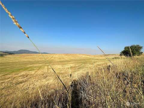 Tbd Chesaw Road, Oroville, WA 98844