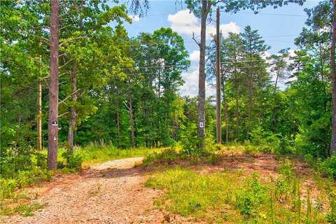 Dreamers Lane, Dawsonville, GA 30534