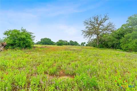 Lot 4 County Rd 441, Harwood, TX 78629