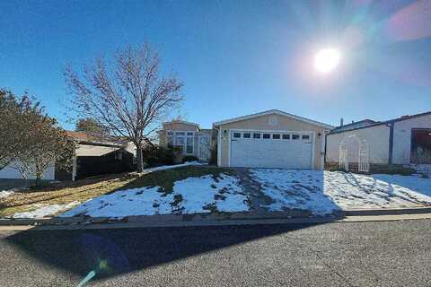 Valley Quail, COLORADO SPRINGS, CO 80922