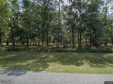 County Road 137, WELLBORN, FL 32094