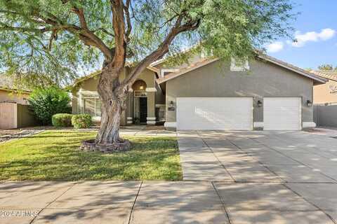 Appaloosa, GILBERT, AZ 85296