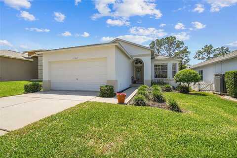 Hollander, HUDSON, FL 34667