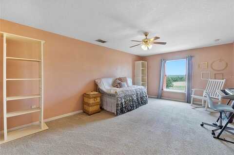 Glossy Leaf, CLERMONT, FL 34711