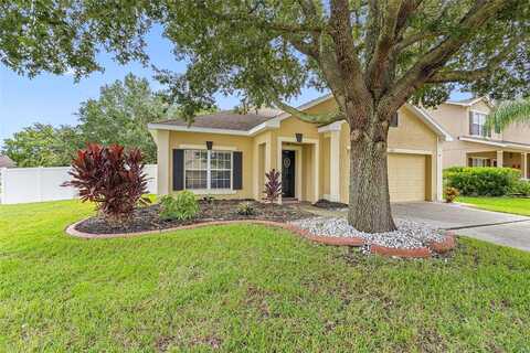 Blue Sage, LAND O LAKES, FL 34639