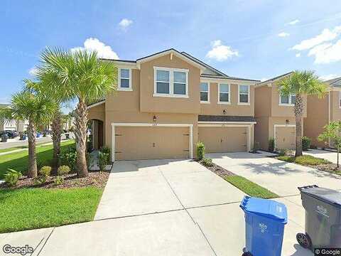 Scarlet Darter, TAMPA, FL 33625