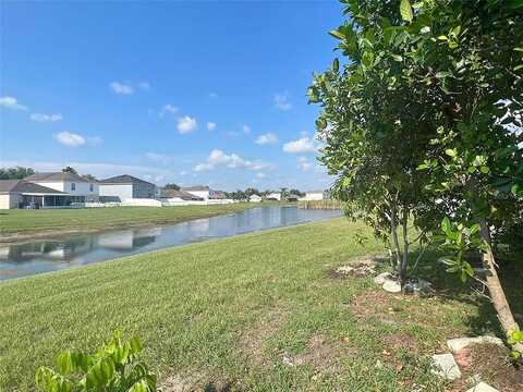 Golden Silence, RIVERVIEW, FL 33579