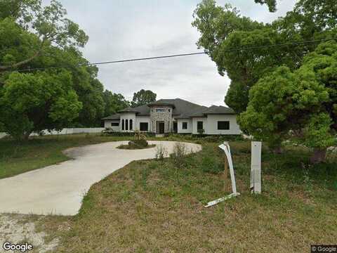 Tupper, WESLEY CHAPEL, FL 33545