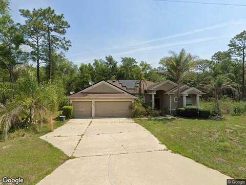 Magenta, CITRUS SPRINGS, FL 34434