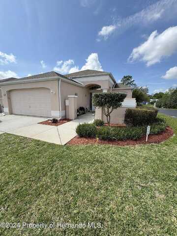 Royal Palm, SPRING HILL, FL 34608