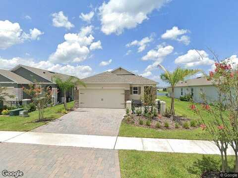 Borassus, NEW SMYRNA BEACH, FL 32168