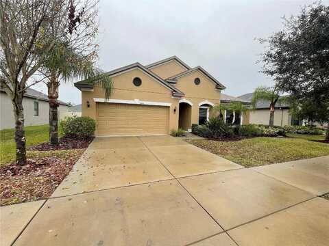 Shetland Ridge, VALRICO, FL 33596